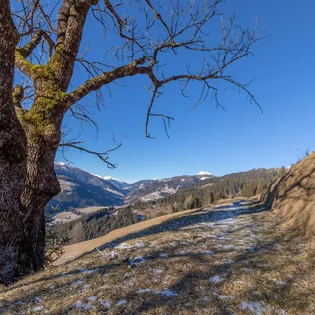 Фермерский дом Joergishof Untertscheltsch