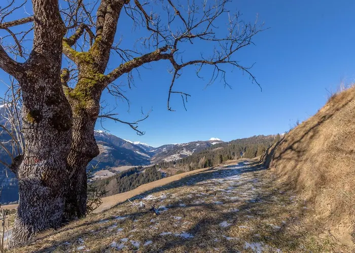 Фермерский дом Joergishof Untertscheltsch